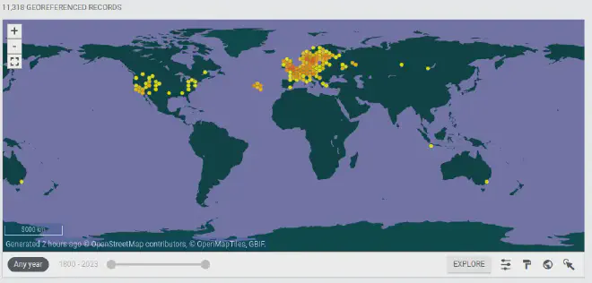 Captura de pantalla del sitio gbif.org, en que se muestra el registro de Brassicogethes aeneus en todo el mundo